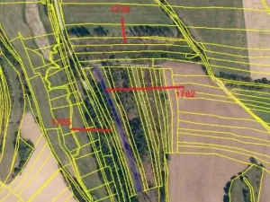 Prodej lesa, Nový Rychnov, 7440 m2