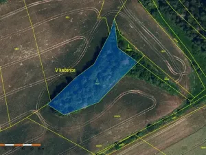 Prodej lesa, Pavlice, 3317 m2