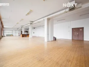 Prodej komerční nemovitosti, Čejč, 3500 m2