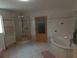 Prodej rodinného domu, Kotenčice, 342 m2