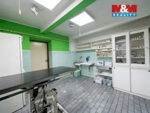 Prodej rodinného domu, Ostrava, Sládečkova, 296 m2