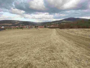 Prodej pole, Javorník, 71 m2