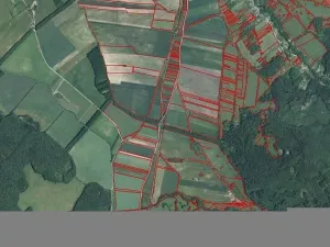 Prodej pole, Javorník, 664 m2