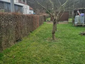 Pronájem chaty, Bělov, 60 m2