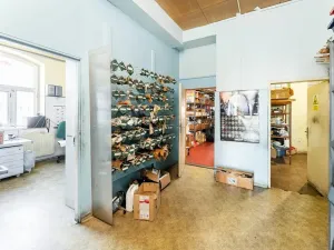 Prodej obchodního prostoru, Hradec Králové, Náhon, 1871 m2