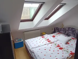 Prodej vícegeneračního domu, Brno, Nováčkova, 380 m2