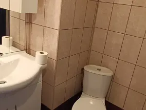 Prodej vícegeneračního domu, Brno, Nováčkova, 380 m2