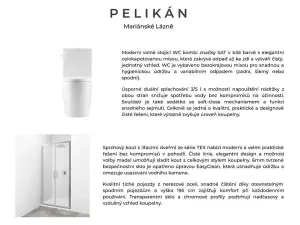 Pronájem bytu 1+kk, Mariánské Lázně, třída Vítězství, 22 m2