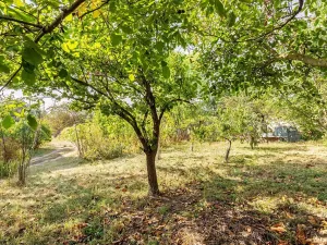 Prodej pozemku, Přibice, 1640 m2