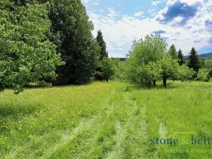 Prodej zemědělské usedlosti, Božanov, 290 m2