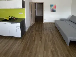 Pronájem bytu 1+kk, Hradec Králové, Svatojánská, 36 m2