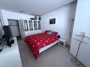 Pronájem bytu 3+kk, Pardubice - Zelené Předměstí, třída Míru, 126 m2