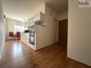 Pronájem bytu 3+1, Bílina - Teplické Předměstí, Sídliště Za Chlumem, 81 m2