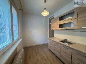 Pronájem bytu 1+1, Most, Vítězslava Nezvala, 35 m2