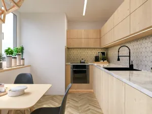 Prodej půdního prostoru, Brno - Černá Pole, Provazníkova, 44 m2