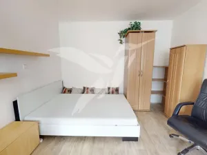 Pronájem bytu 1+1, Plzeň, Břeclavská, 39 m2