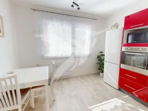 Pronájem bytu 1+1, Plzeň, Břeclavská, 39 m2