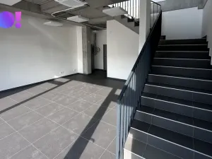 Pronájem obchodního prostoru, Brno - Černovice, 439 m2