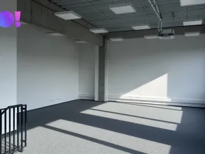 Pronájem obchodního prostoru, Brno - Černovice, 439 m2