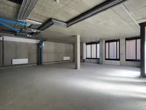 Pronájem obchodního prostoru, Praha - Staré Město, U milosrdných, 147 m2