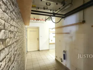 Pronájem restaurace, Písek - Vnitřní Město, V Koutě, 230 m2