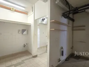 Pronájem restaurace, Písek - Vnitřní Město, V Koutě, 230 m2