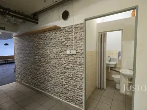 Pronájem restaurace, Písek - Vnitřní Město, V Koutě, 230 m2