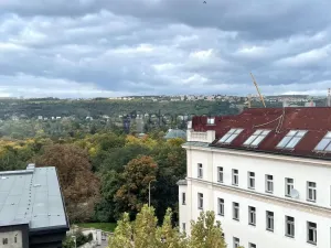 Pronájem bytu 3+1, Praha, U akademie, 130 m2