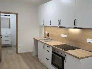 Pronájem bytu 1+kk, Prostějov, Komenského, 24 m2