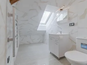 Pronájem bytu 1+kk, Prostějov, Sokolská, 48 m2