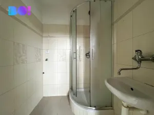 Prodej bytu 3+1, Žďár nad Sázavou, Purkyňova, 73 m2