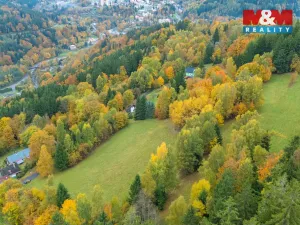 Prodej louky, Tanvald - Šumburk nad Desnou, 2029 m2