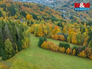 Prodej louky, Tanvald - Šumburk nad Desnou, 2029 m2