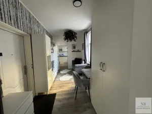 Prodej bytu 2+1, Karlovy Vary, Petřín, 35 m2