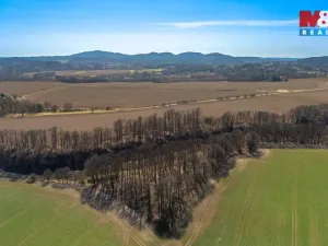 Prodej louky, Tachov, 12761 m2