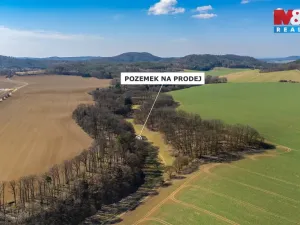 Prodej louky, Tachov, 12761 m2