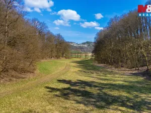 Prodej louky, Tachov, 12761 m2