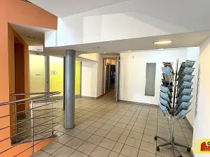 Pronájem obchodního prostoru, Brno - Brno-město, 2500 m2