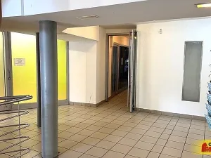 Pronájem obchodního prostoru, Brno - Brno-město, 2500 m2