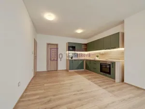 Pronájem bytu 3+kk, Jindřichův Hradec - Jindřichův Hradec I, Panská, 64 m2