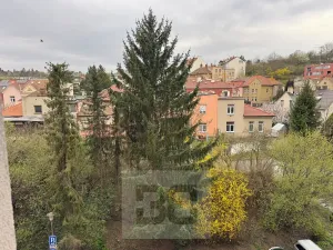 Pronájem bytu 1+1, Brno, Vídeňská, 43 m2