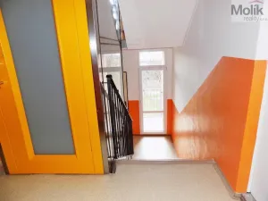 Prodej bytu 1+1, Ústí nad Labem - Severní Terasa, Ladova, 37 m2