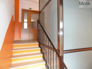 Prodej bytu 1+1, Ústí nad Labem - Severní Terasa, Ladova, 37 m2