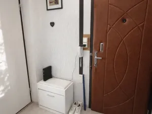 Prodej bytu 2+1, Ostrava, Vlasty Vlasákové, 43 m2