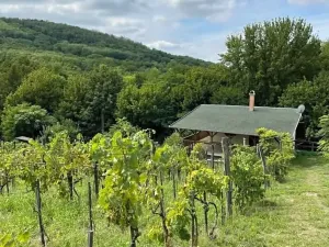 Prodej chalupy, Pincehely, Maďarsko, 64 m2