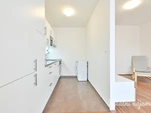 Pronájem bytu 1+kk, Brno, U Leskavy, 38 m2