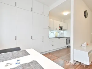 Pronájem bytu 1+kk, Brno, U Leskavy, 38 m2