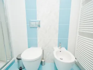 Prodej bytu 5+kk, Karlovy Vary, Pražská silnice, 149 m2