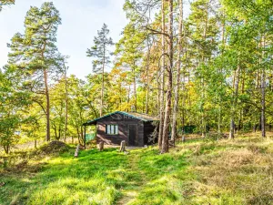 Prodej chaty, Nové Dvory - Krámy, 100 m2