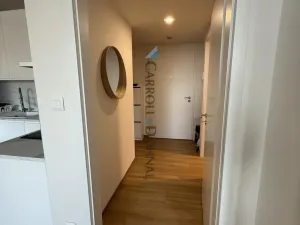 Pronájem bytu 2+kk, Ostrava - Slezská Ostrava, U Hájenky, 56 m2